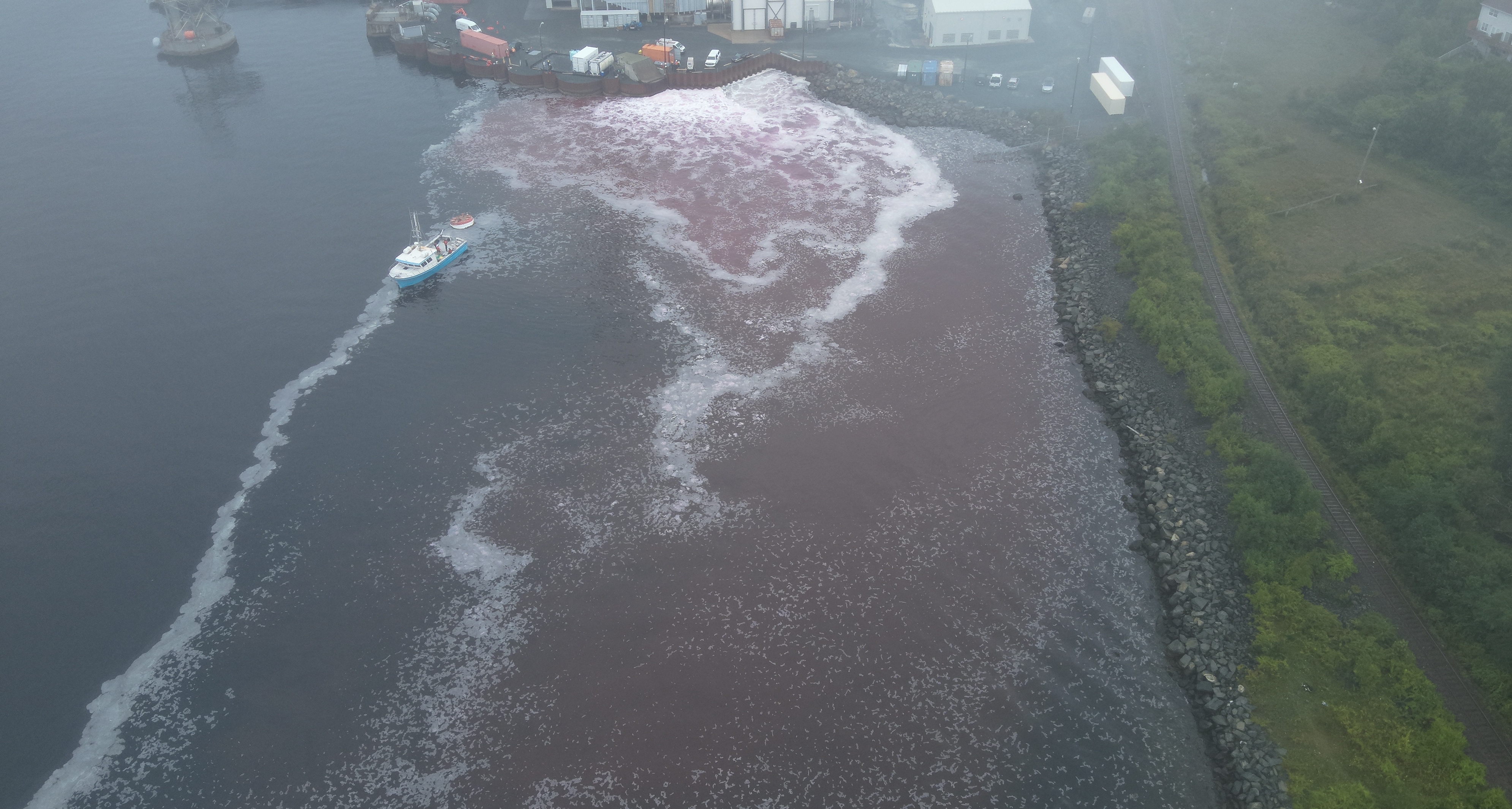 drone image